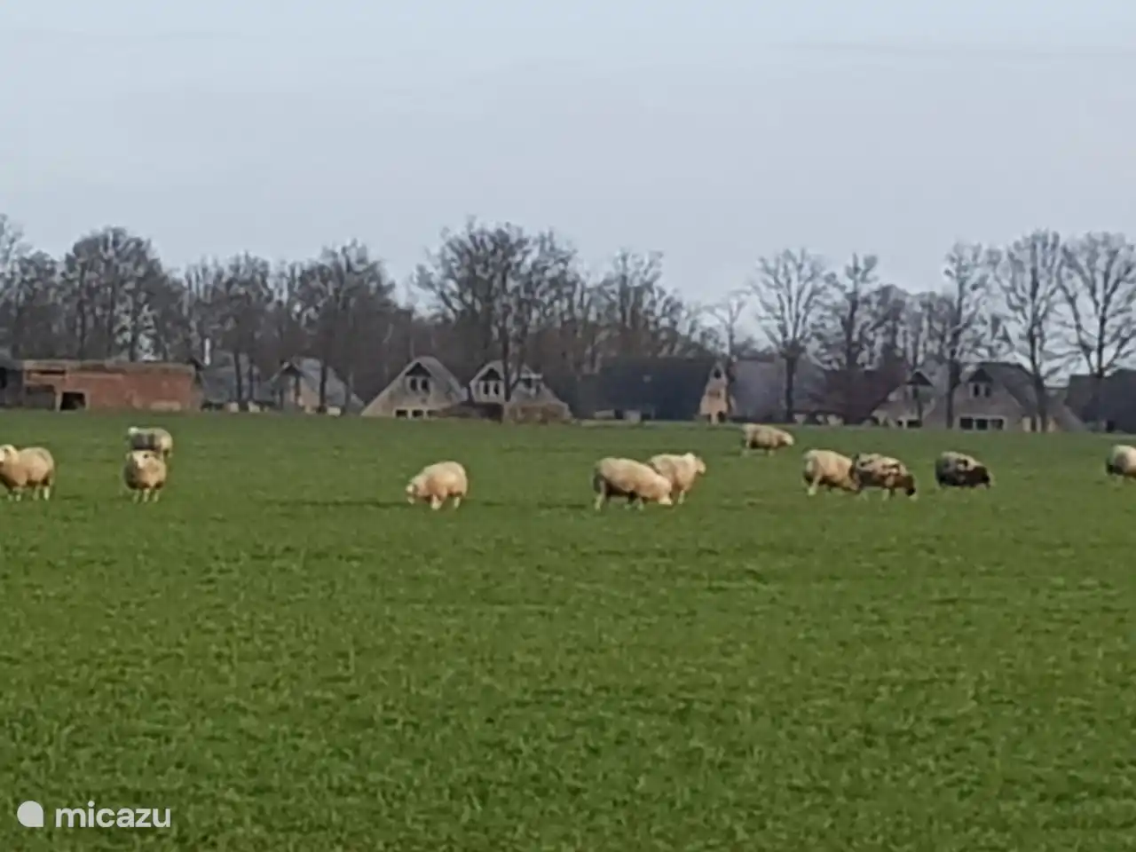 Blick auf den Erholungspark Sondel