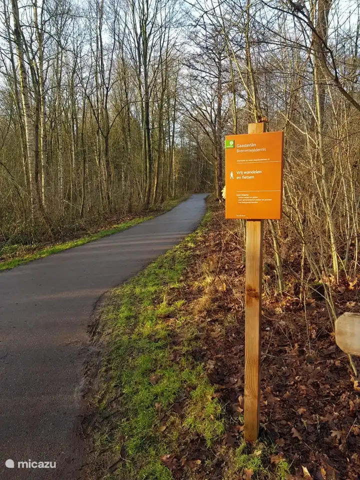 Naturschutzgebiet Bremer Wildernis
