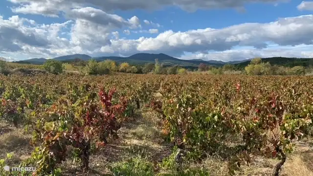 Environnement direct