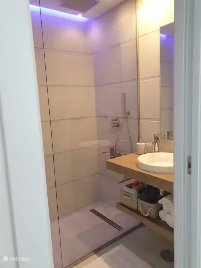 Este es el baño de la izquierda con una amplia ducha a ras de suelo, un lavabo y un inodoro.