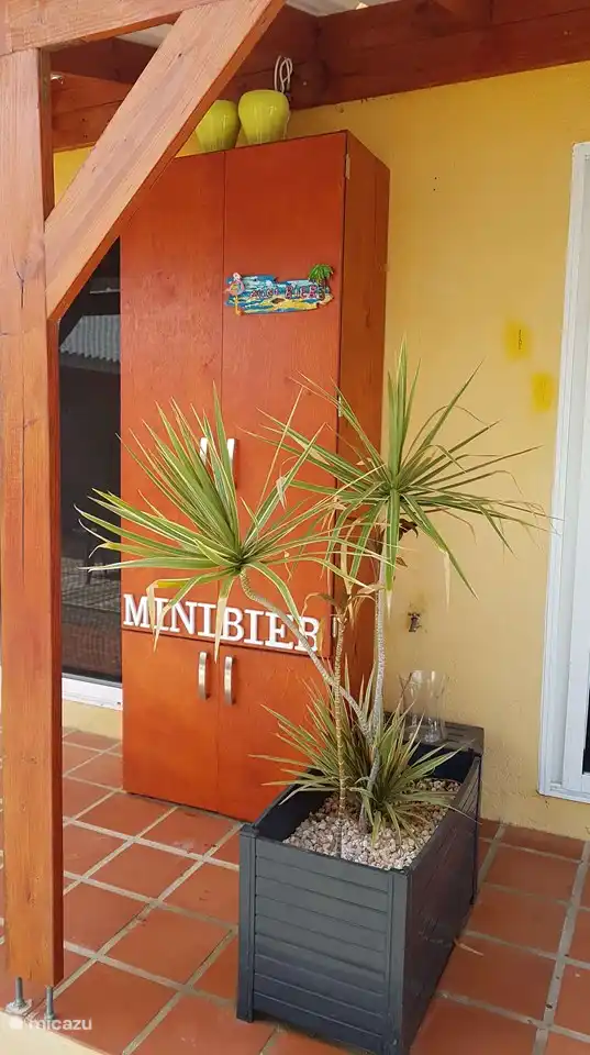 Cupboard with books and games