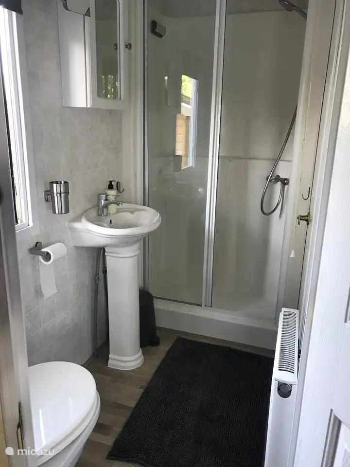 Badkamer met toilet, wastafel en ruime douche
