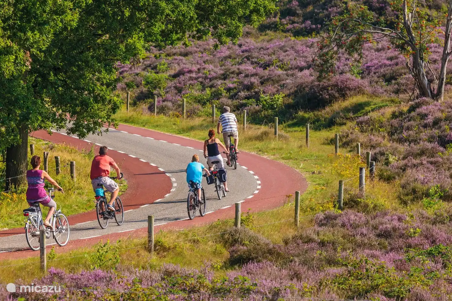 Vanuit het park kan je heerlijke fietstochten maken over de Veluwe of door de achterhoek. (Electrische) Fietsen en scooters kan je huren op het park.