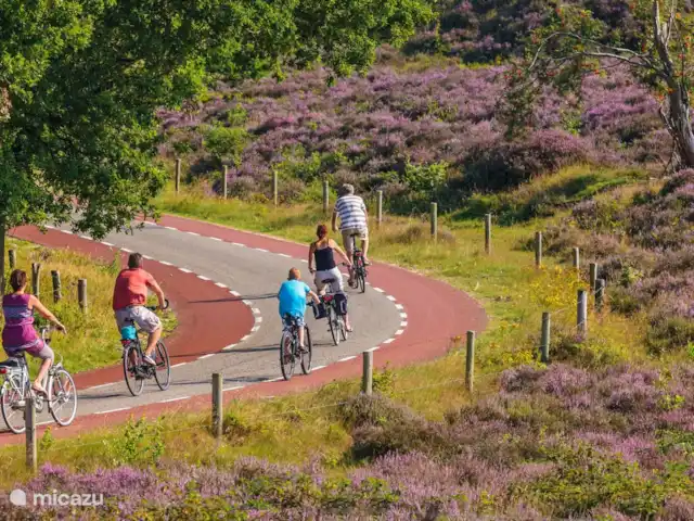 Location de Vacances Pays-Bas, Gueldre, Lathum, chalet - Anvibe Depuis le parc, vous pouvez faire de merveilleuses balades à vélo à travers la Veluwe ou à travers l'Achterhoek. Vous pouvez louer des vélos (électriques) et des scooters au parc.