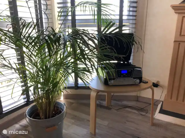 Location de Vacances Pays-Bas, Gueldre, Lathum, chalet - Anvibe Anvibe dispose également d'une radio, d'un lecteur CD, d'un tourne-disque (les disques vinyles sont fournis), d'un lecteur USB et d'un lecteur Bluetooth.