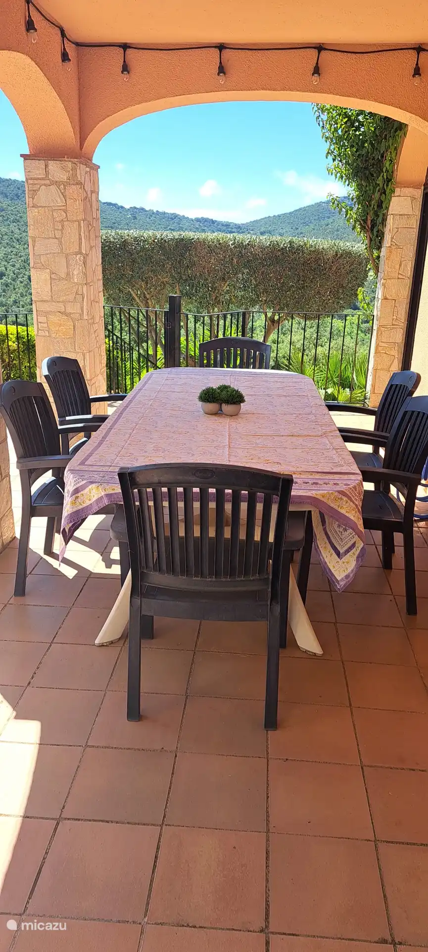 Terras1 met overkapping; eettafel met 6 stoelen