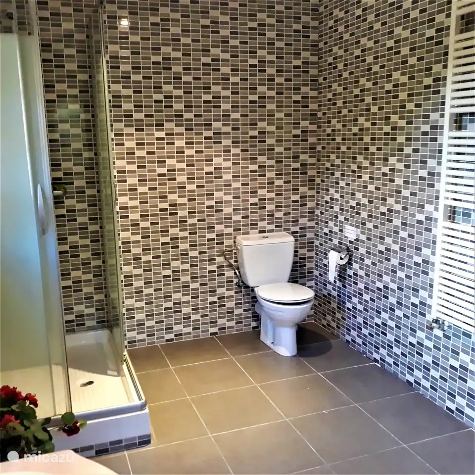 Bathroom1 (1) (adjacent to bedroom1)