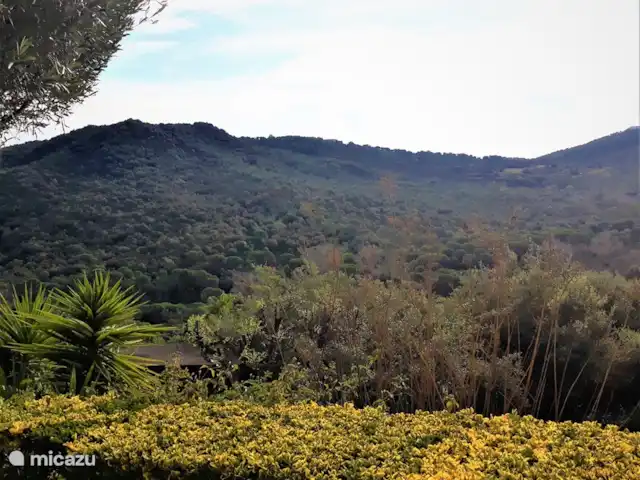 Casa Galesa huren in Spanje, Costa Brava, Calonge - vakantiehuis Uitzicht_1