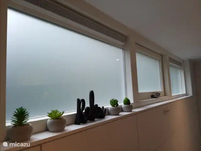el tucan en Países Bajos, Güeldres, Emst (Epe) - casa vacacional Debido a las muchas ventanas, hay mucha luz natural en el baño. La privacidad está garantizada por el vidrio esmerilado.