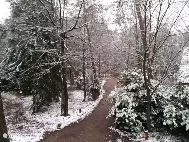 el tucan en Países Bajos, Güeldres, Emst (Epe) - casa vacacional El camino a El Tucán.