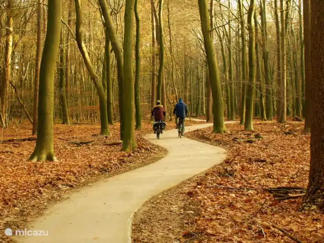 el tucan en Países Bajos, Güeldres, Emst (Epe) - casa vacacional Hay muchas rutas ciclistas hermosas cerca.