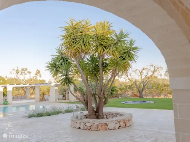 Villa Digaverde en Italia, Apulia, Carovigno - villa Jardín