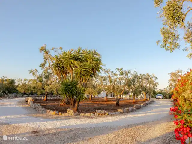 Villa Digaverde en Italia, Apulia, Carovigno - villa Conducir