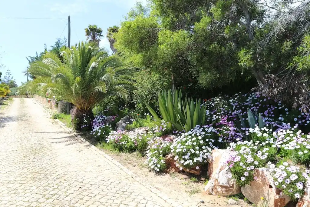 Eine lange Auffahrt mit Palmen und Blumen - bietet viel Privatsphäre