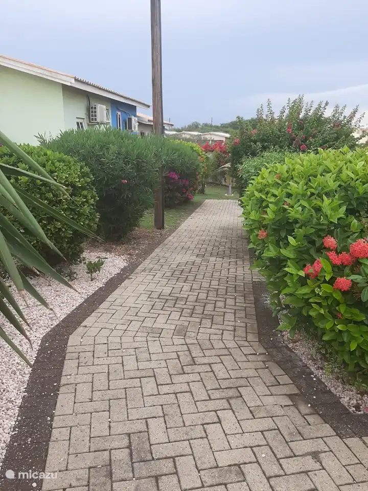 Wanderweg zum Studio