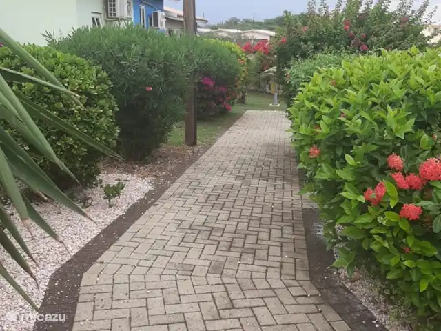 Seru Coral prachtige studio 2 pers huren in Curaçao, Banda Ariba (oost), Seru Coral - studio Wandelpad naar studio