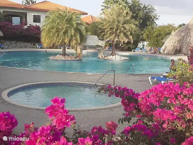 Seru Coral prachtige studio 2 pers huren in Curaçao, Banda Ariba (oost), Seru Coral - studio zwembad met kinderbad