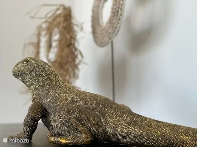 Villa Casa di Barrio - Blue Bay en Curazao, Curazao Centro, Blue Bay - villa ¡También puedes ver esta iguana caminando en la vida real en Curacao ;-)!