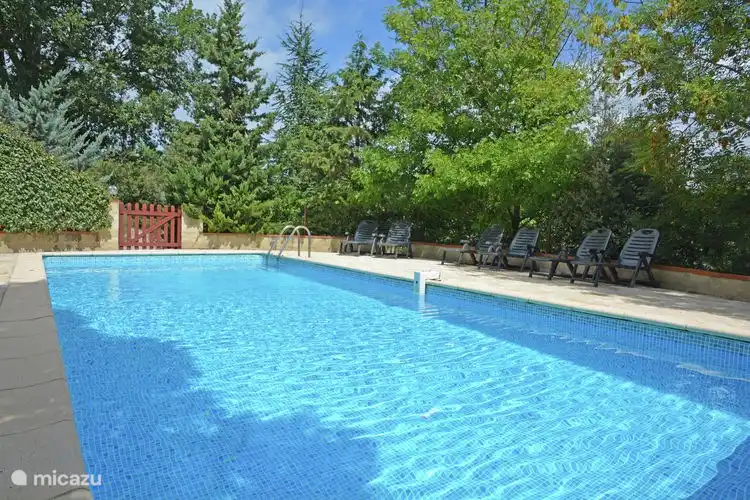 Pool und Solarium Sonnenliegen