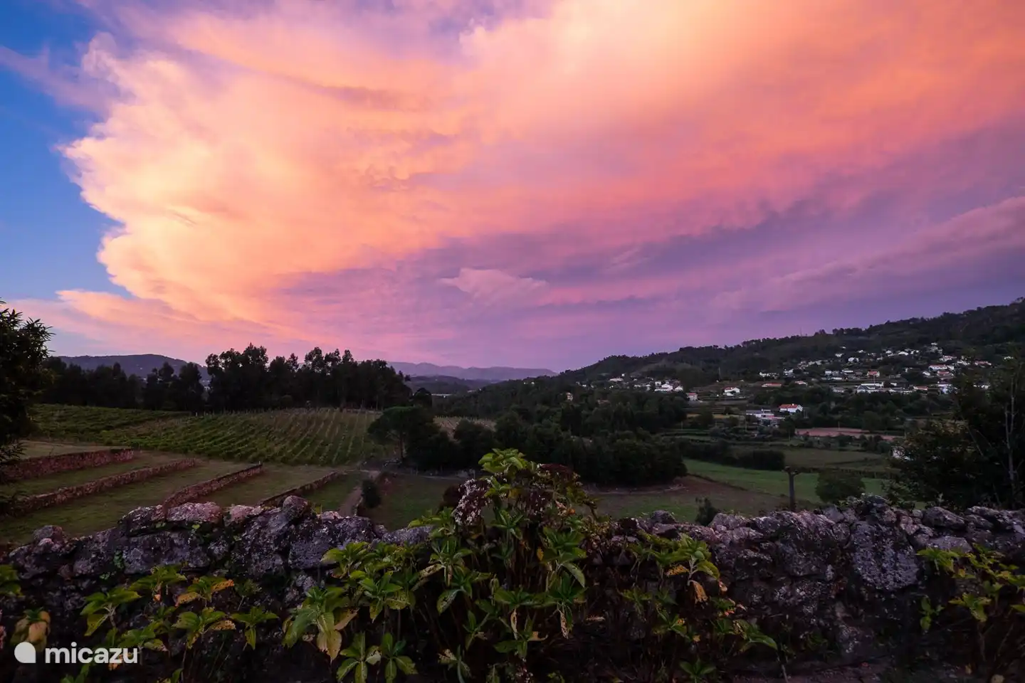 Blick über die Weinberge von der Privatstraße vor dem Haus.