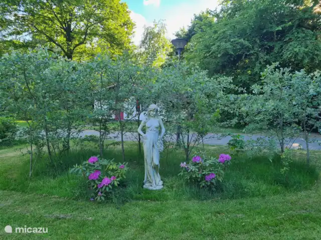 MemHill huren in Nederland, Drenthe, Exloo - bungalow Uitzicht vanaf terras