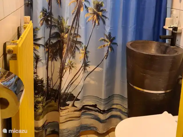 MemHill huren in Nederland, Drenthe, Exloo - bungalow Toiletruimte met wasbak en achter het gordijn een wasmachine en droogrek.