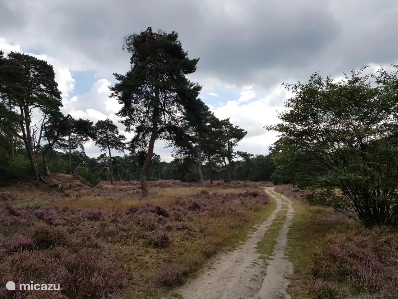 Be surprised by the beautiful varied nature in the immediate vicinity.