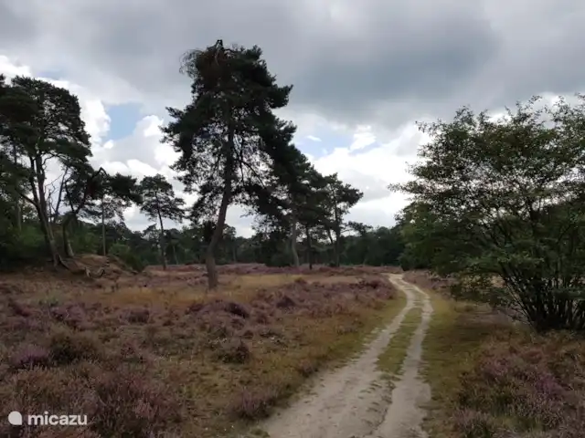 MemHill huren in Nederland, Drenthe, Exloo - bungalow Laat je verrassen door de prachtige gevarieerde natuur in de naaste omgeving.