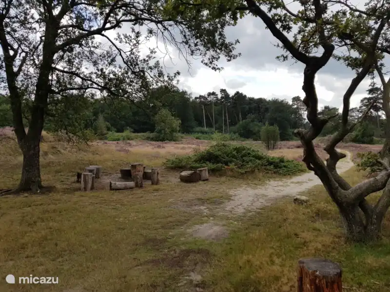 Mem Hill | Pays-Bas, Drenthe, Exloo - Bungalow Mem Hill | Pays-Bas, Drenthe, Exloo - Bungalow