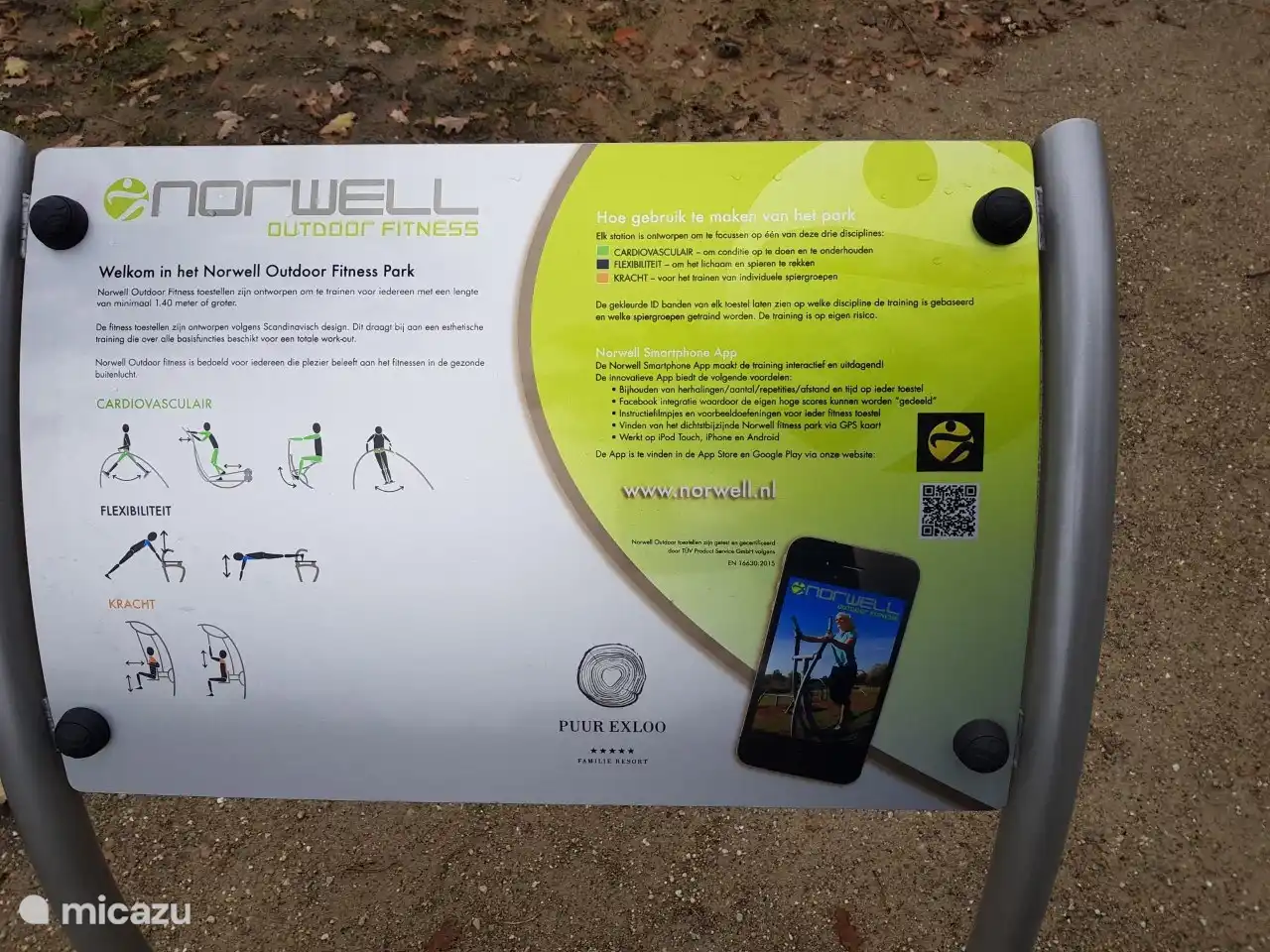 Outdoor fitness for adults at the park