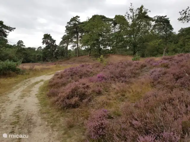 MemHill huren in Nederland, Drenthe, Exloo - bungalow Verrassende wegen en paden.