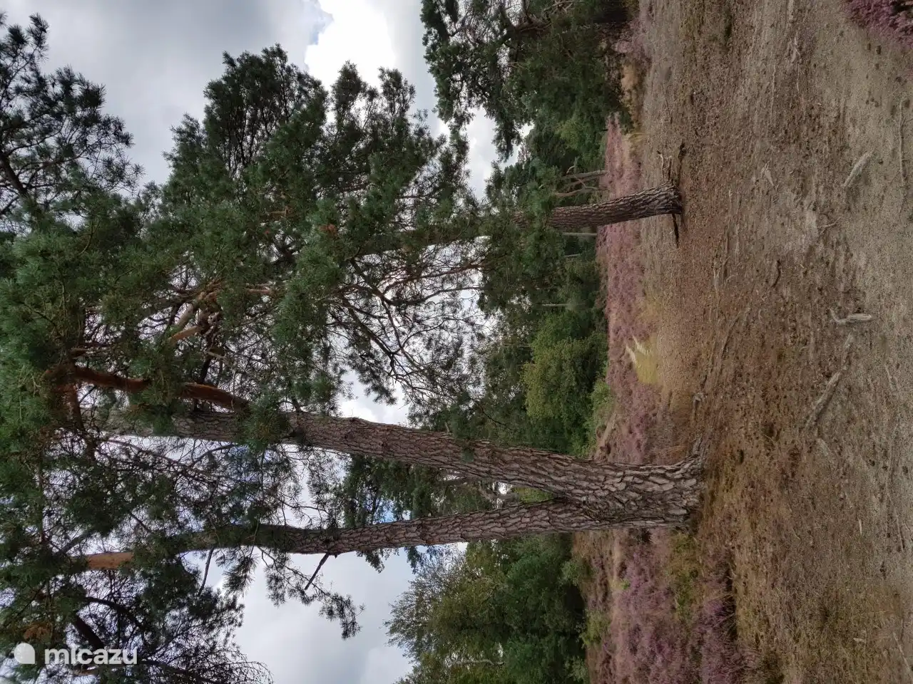 Discover for yourself how beautiful ...