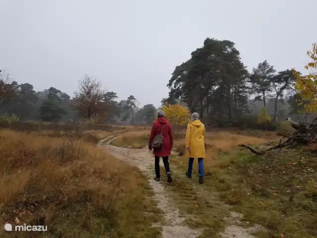 MemHill huren in Nederland, Drenthe, Exloo - bungalow Herfstwandeling