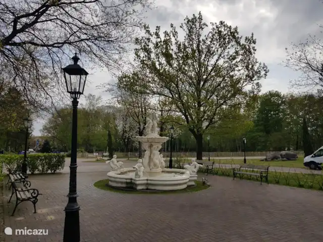 MemHill huren in Nederland, Drenthe, Exloo - bungalow Adem de sfeer van het landgoed bij het Fletcher Hotel op het terras aan de voor- of achterkant.