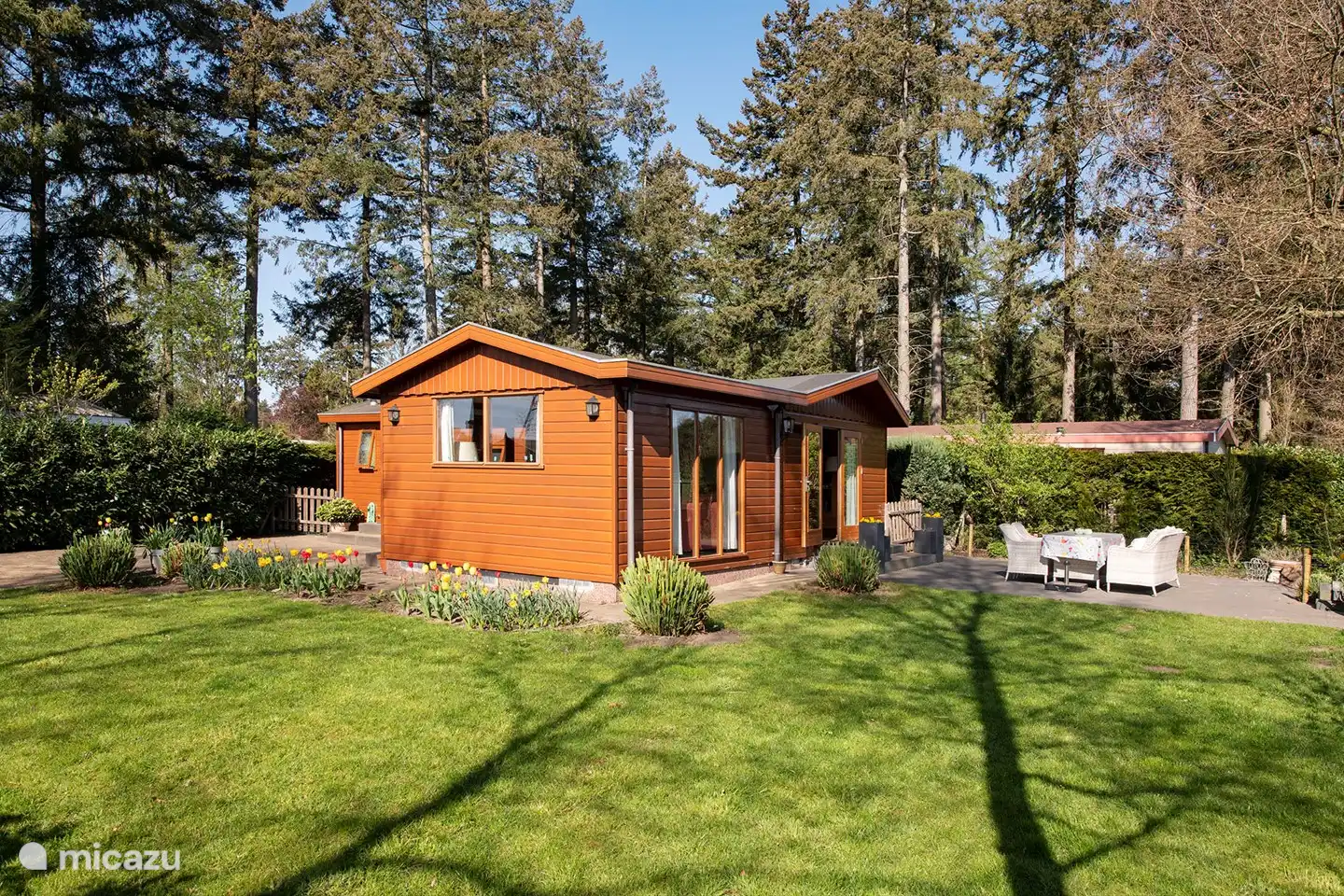 Der Wildenborch in Niederlande, Gelderland, Vorden - Chalet