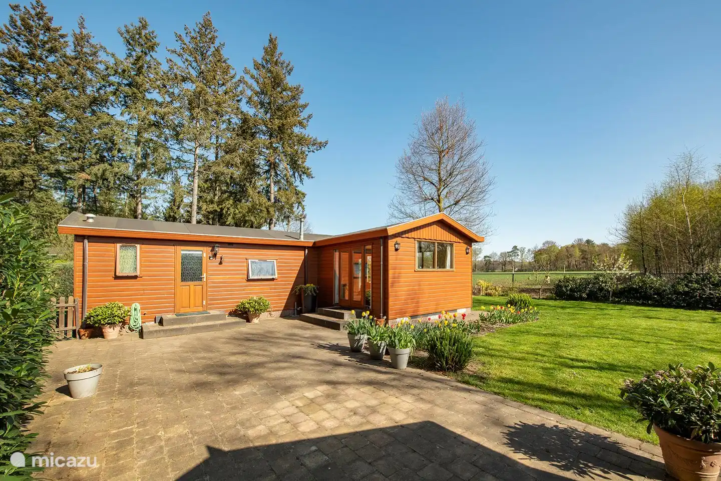 Der Wildenborch in Niederlande, Gelderland, Vorden - Chalet
