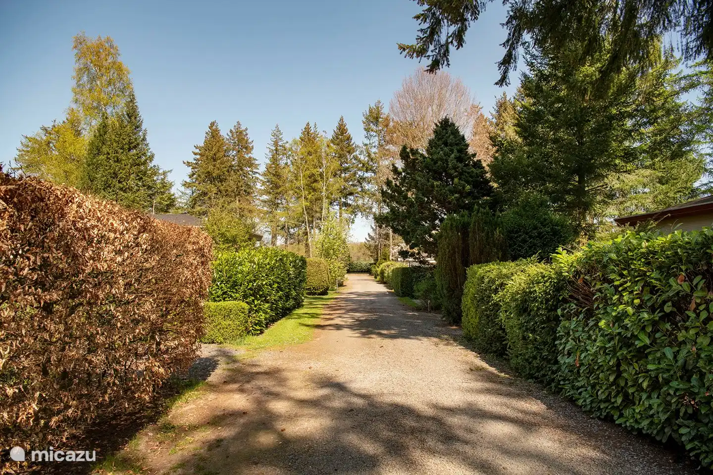 Bospark de Réehorst