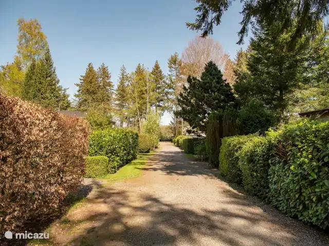 El Wildenborch en Países Bajos, Güeldres, Vorden - chalet Bospark de Réehorst