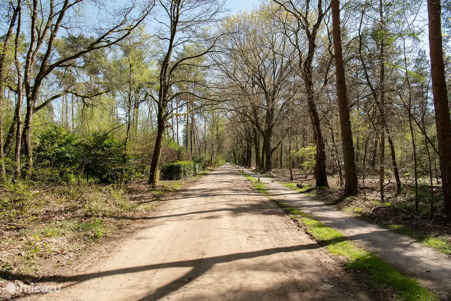 Los hermosos alrededores de Vorden