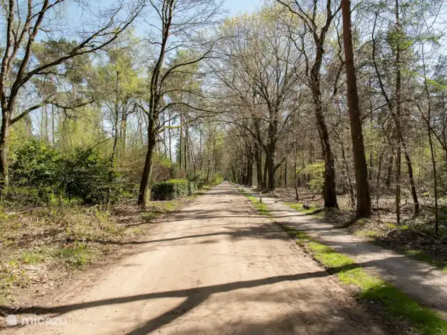 El Wildenborch en Países Bajos, Güeldres, Vorden - chalet Los hermosos alrededores de Vorden