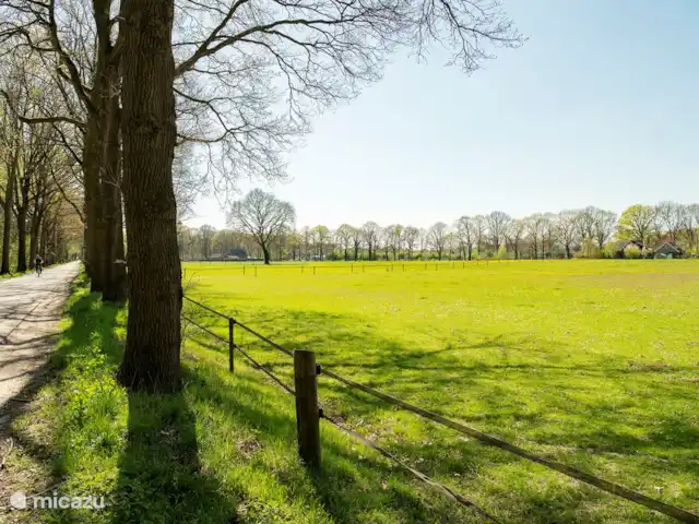 El Wildenborch en Países Bajos, Güeldres, Vorden - chalet