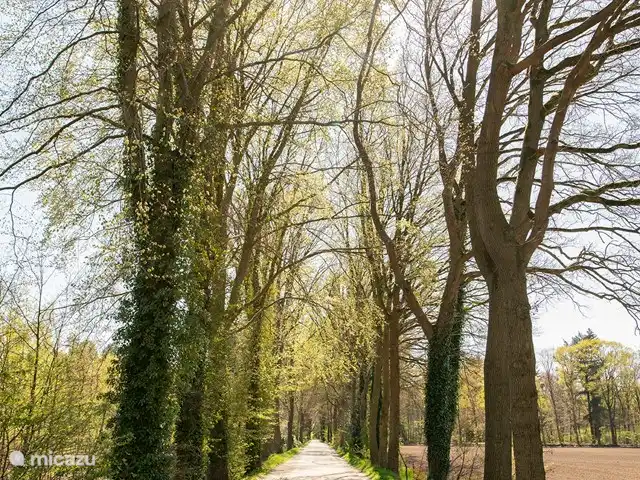 El Wildenborch en Países Bajos, Güeldres, Vorden - chalet