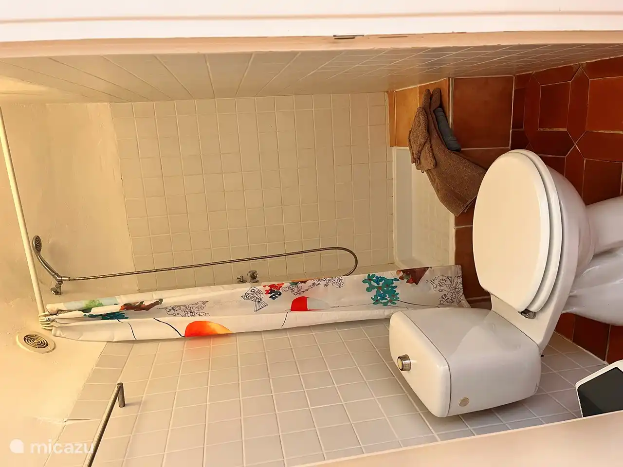 Douche en toilet. De wastafel is in de slaapkamer achter de antieke deur.
