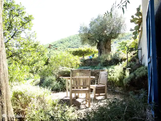 Location de Vacances France, Gard, Molières-sur-Cèze, appartement - Usine de mise en bouteille L'olive raconte une histoire vieille de 2000 ans au-dessus de la terrasse du Bottelarij.