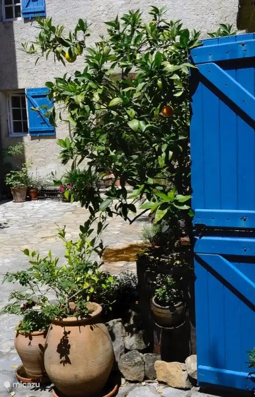 Der Eingang des Bottelarij neben dem Orangenbaum. Die Pferdetüren funktionieren noch.