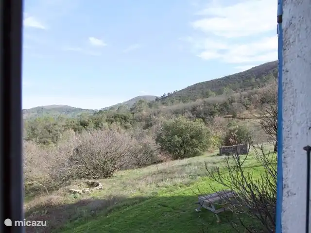 Location de Vacances France, Gard, Molières-sur-Cèze, appartement - Chapelle Vue depuis la cuisine de la Chapelle au tout début du printemps. Vous voyez maintenant le ciel en constante évolution et le figuier qui produira bientôt à nouveau des figues sucrées.