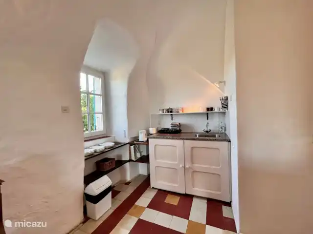 Location de Vacances France, Gard, Molières-sur-Cèze, appartement - Chapelle Manger des figues depuis la fenêtre de la cuisine, c'est possible fin août.