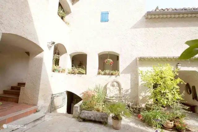 An einem warmen Sommertag. Die Zitrusbäume mögen volle Sonne.