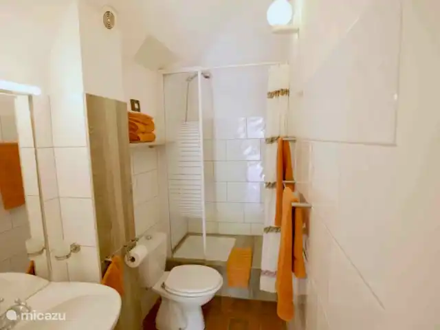 Location de Vacances France, Gard, Molières-sur-Cèze, appartement - L'auditorium Nouvelles serviettes, débarbouillettes et un tapis de bain chaque semaine. Ou plus souvent si vous le souhaitez.