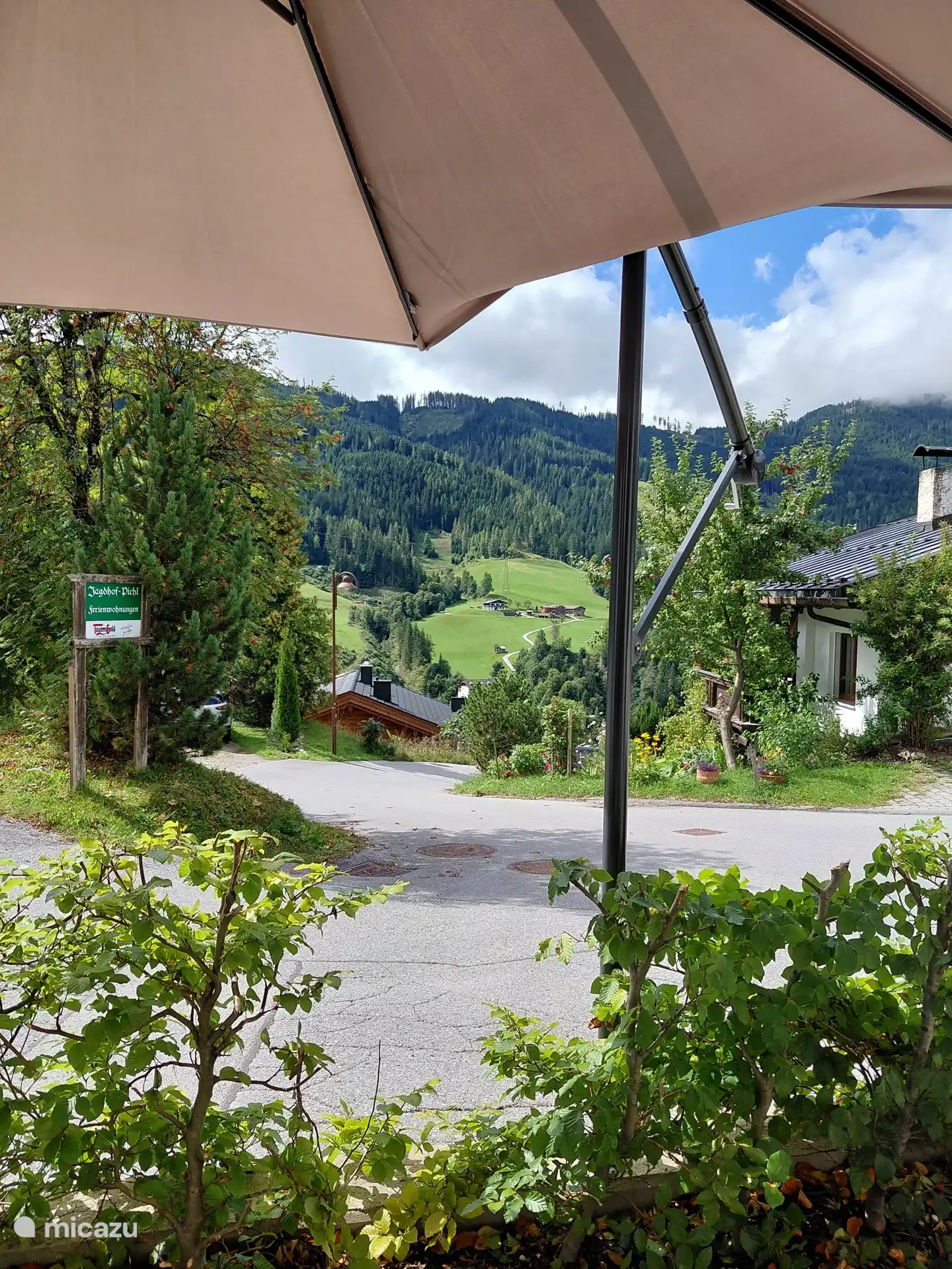 View from the terrace.